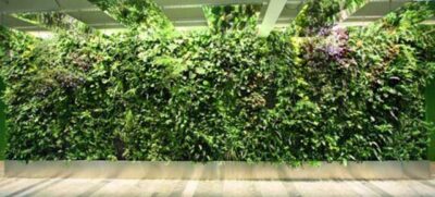 Tenha um Jardim Vertical de baixo custo