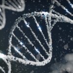 Teste de DNA indica se você pode envelhecer rapidamente
