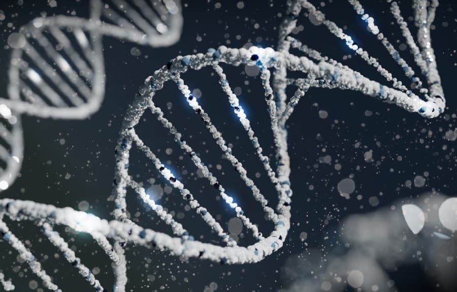 Teste de DNA indica se você pode envelhecer rapidamente