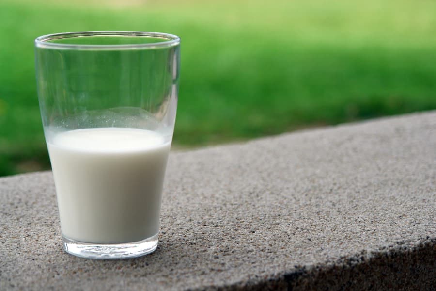 Fintech utilizada pela Catupiry já disponibilizou R$ 3 milhões a produtores de leite do laticínio