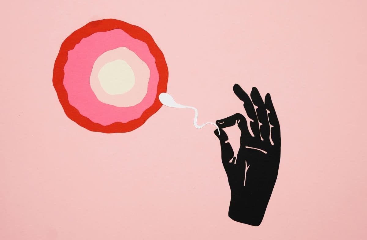 Inseminação Artificial (IA) e Fertilização In Vitro (FIV): entenda a diferença entre os tratamentos